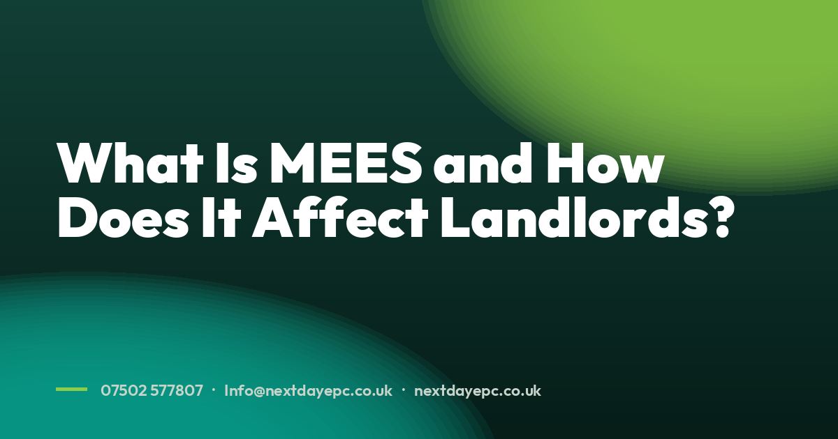 What Is MEES and How Does It Affect Landlords?